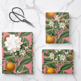 Oranje blaasbloesem, roze Inpakpapier Vel