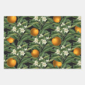  Oranje blaasbloesem, zwart Inpakpapier Vel (Voorkant)