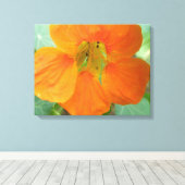  Oranje blaasdoek van de Nasturtium Afdrukken (Insitu (Houten vloer))