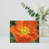 Oranje blaasventiel Briefkaart (Staand voorkant)