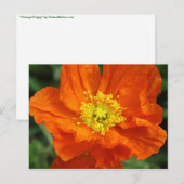 Oranje blaasventiel Briefkaart (Voorkant / Achterkant)