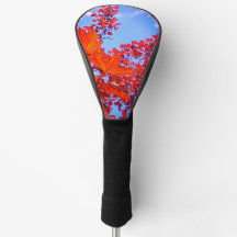 Oranje bladeren