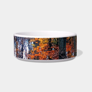 Oranje bladeren, in de bossen voerbakje