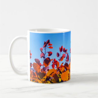 Oranje bladeren in de Herfst! Koffiemok