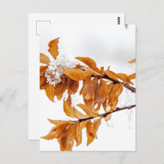 Oranje bladeren in de winter briefkaart (Voorkant / Achterkant)