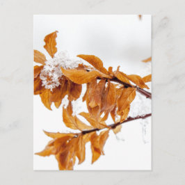 Oranje bladeren in de winter briefkaart