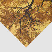 Oranje bladeren in gele hemel tissuepapier (Detail)