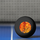 Oranje bladeren pingpongbal (Net)