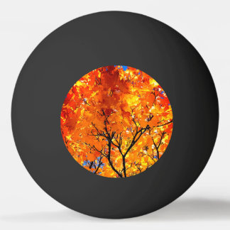 Oranje bladeren pingpongbal