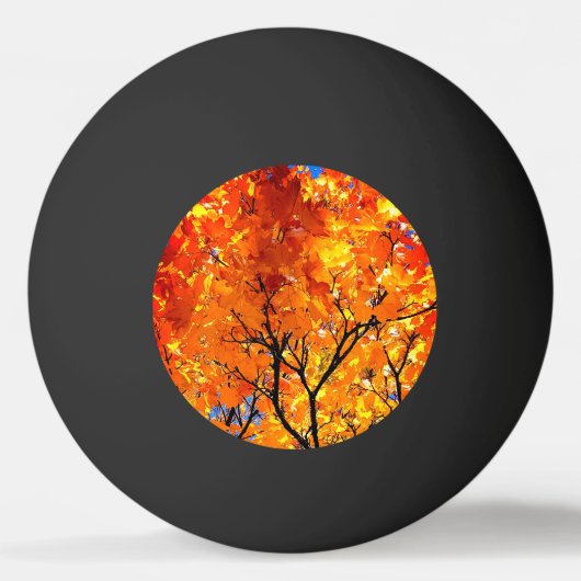 Oranje bladeren pingpongbal (Voorkant)