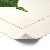 Oranje bladeren (Poncirus Trifoliata) Poster (Hoek)