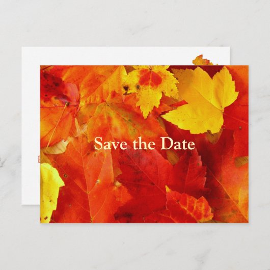 Oranje bladeren Save the Date Fall Wedding Kaart (Voorkant / Achterkant)