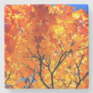 Oranje bladeren stenen onderzetter