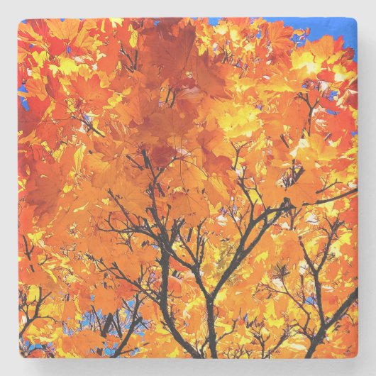 Oranje bladeren stenen onderzetter (Voorkant)
