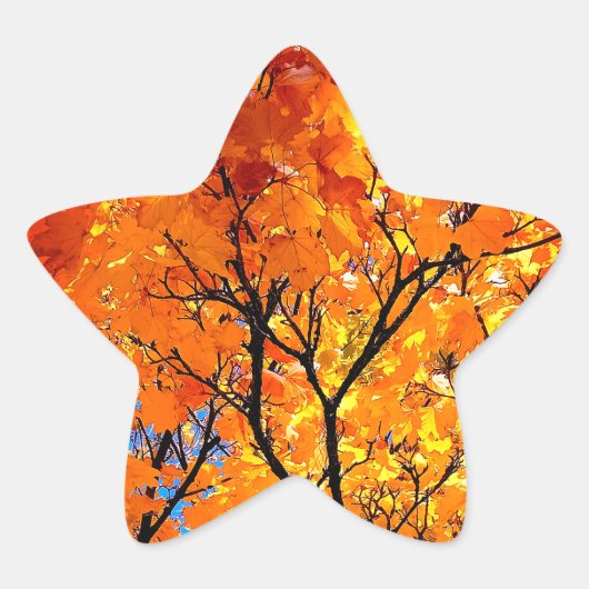 Oranje bladeren ster sticker (Voorkant)