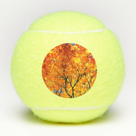 Oranje bladeren tennisballen (Voorkant)
