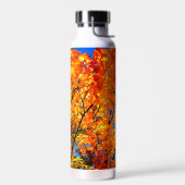 Oranje bladeren waterfles (Links)