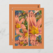 ORANJE BLADWIJZER DAYLIES BRIEFKAART (Voorkant / Achterkant)