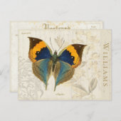  Oranje blauw vlinder Botanisch Briefkaart (Voorkant / Achterkant)