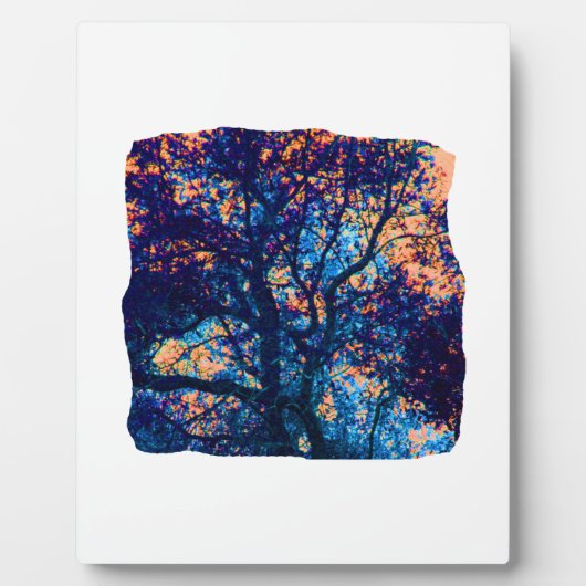 Oranje blauwe eikenboom Abstracte tak Fotoplaat (Voorkant)