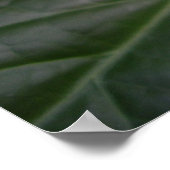 oranje bloem 02 poster (Hoek)