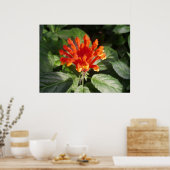 oranje bloem 02 poster (Keuken)