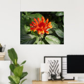 oranje bloem 02 poster (Thuiskantoor)