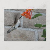 Oranje bloem briefkaart (Voorkant)