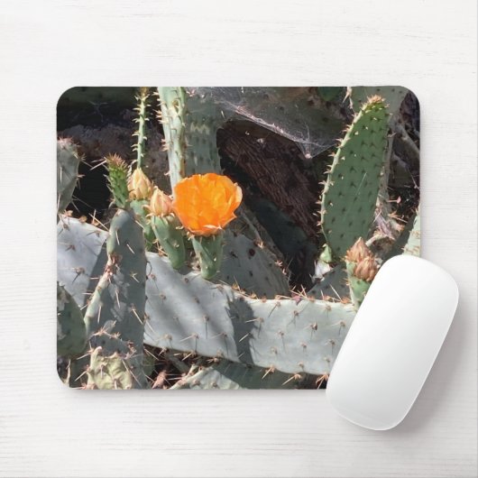 Oranje Bloem in een Cactus in Balboa Park Muismat (Met muis)