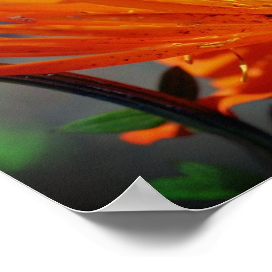 Oranje bloem in zonnebloemen poster (Hoek)