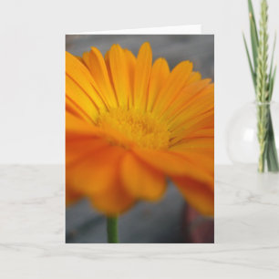 oranje bloem kaart