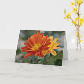 Oranje Bloem Notecard Kaart (Gele Bloem)