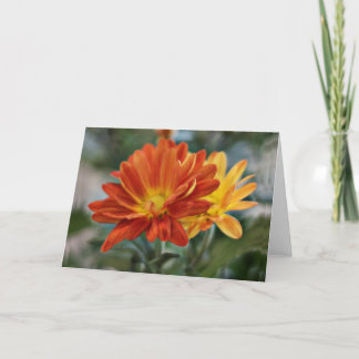Oranje Bloem Notecard Kaart