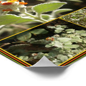 oranje bloem poster (Hoek)