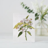 Oranje bloem uit de "La Guirlande de Julie" Briefkaart (Staand voorkant)