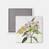 Oranje bloem uit de "La Guirlande de Julie" Magneet (Voorkant / Achterkant)