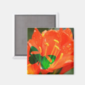 Oranje Bloem Vlinder Vierkante Magneet (Voorkant / Achterkant)
