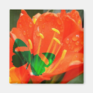 Oranje Bloem Vlinder Vierkante Magneet