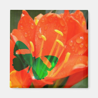 Oranje Bloem Vlinder Vierkante Magneet