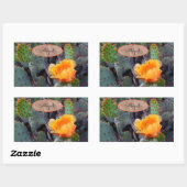 Oranje bloemcilinders Blossom Opuntia Prickly Pear Rechthoekige Sticker (Vel)