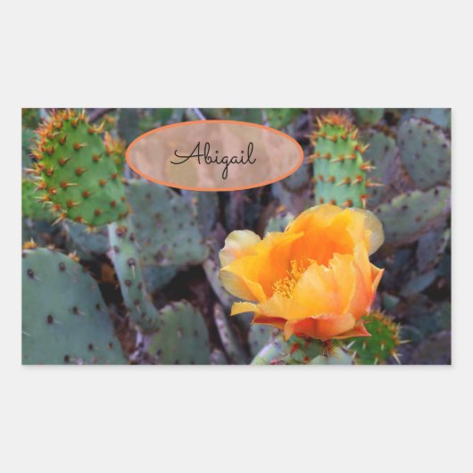 Oranje bloemcilinders Blossom Opuntia Prickly Pear Rechthoekige Sticker (Voorkant)