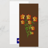 Oranje bloemen (Voorkant / Achterkant)