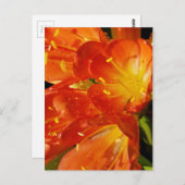 Oranje bloemen briefkaart (Voorkant / Achterkant)