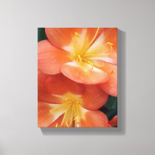 Oranje bloemen canvas afdruk (Voorkant)