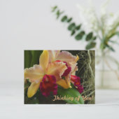 Oranje bloemen Cattleya Orchids Briefkaart (Staand voorkant)