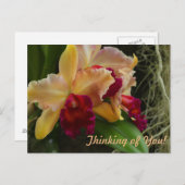 Oranje bloemen Cattleya Orchids Briefkaart (Voorkant / Achterkant)
