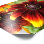 Oranje Bloemen Fotografie, Kodak Professional Foto Afdruk (Hoek)