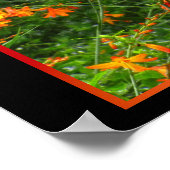 Oranje bloemen in het bos poster (Hoek)