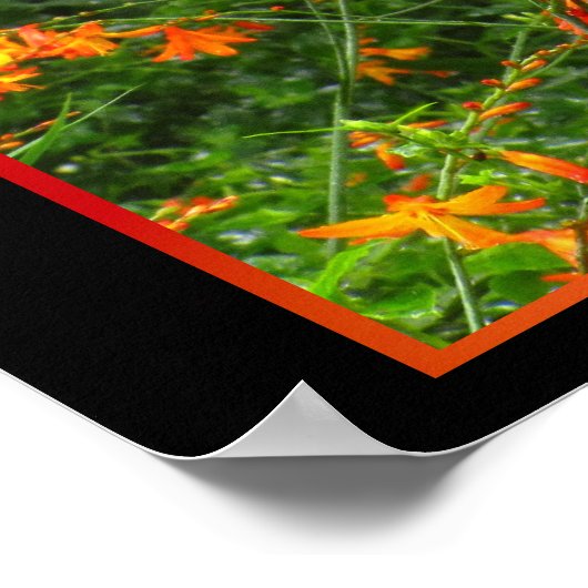 Oranje bloemen in het bos poster (Hoek)