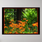 Oranje bloemen in het bos poster (Voorkant)